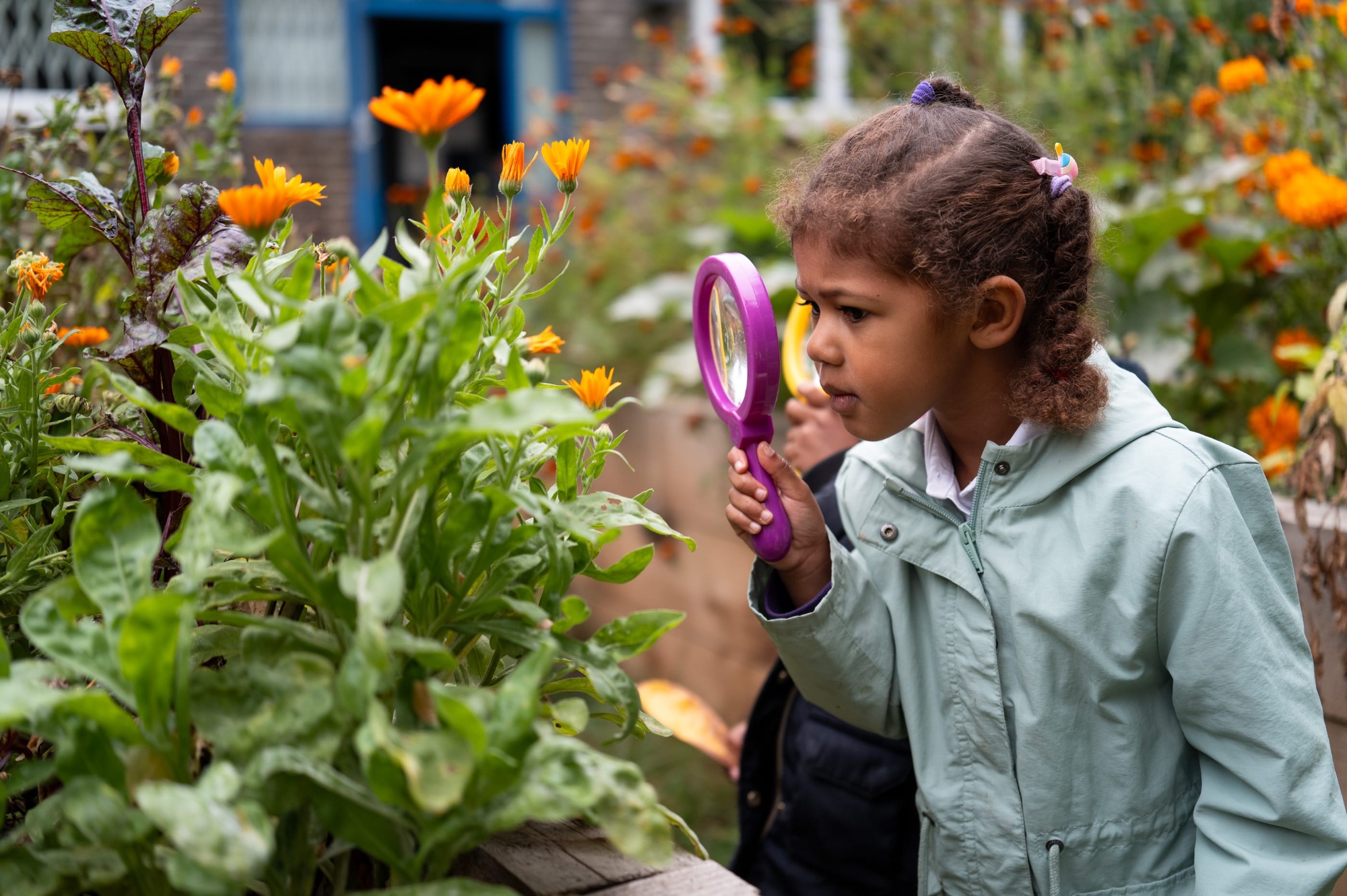 Forest School Image
